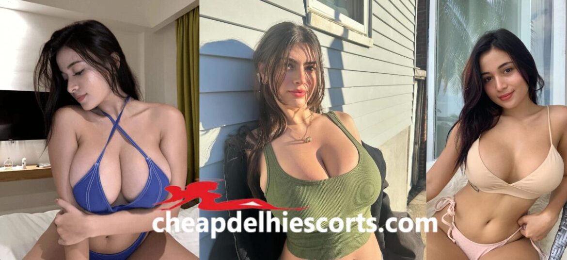 A Night in Dwarka: Enhancing Your Social Life with Professional Companions